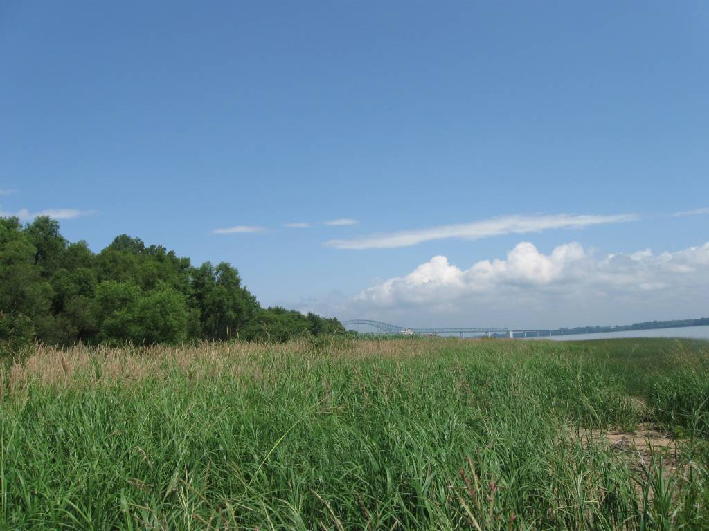 plan de conservation pour l'écosystème Montour à TroisRivières
